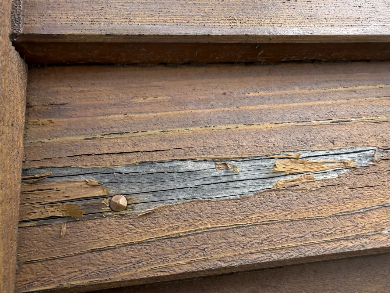 Old film coating peeling and blistering off cedar weatherboard