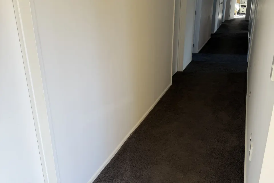 Wall Repairs & Touch-Ups, Albert Town