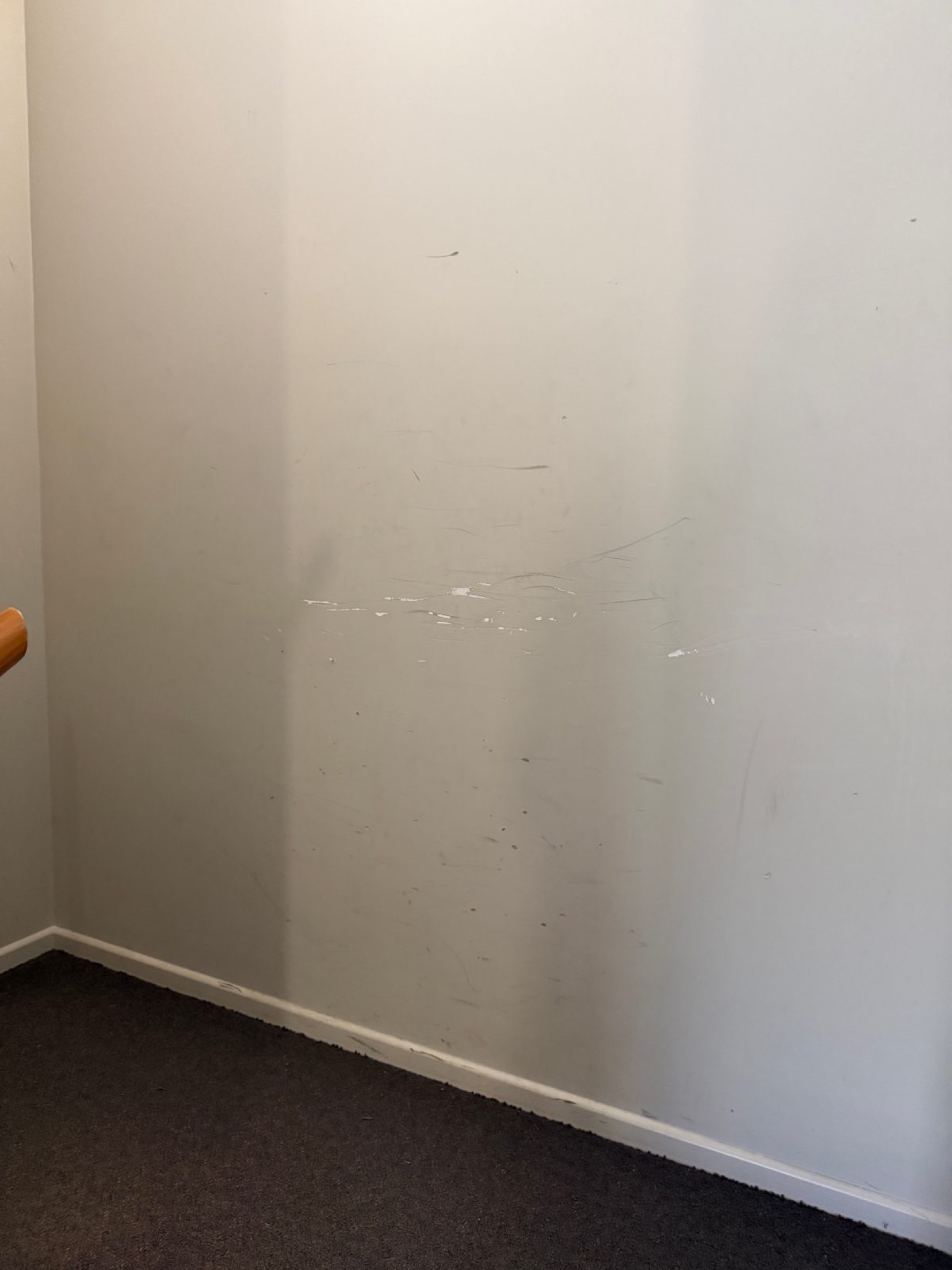Cromwell Races Admin Building - Before 1: Interior Drywall Damage Before Prep
